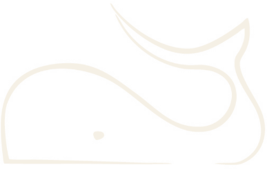 White Whale